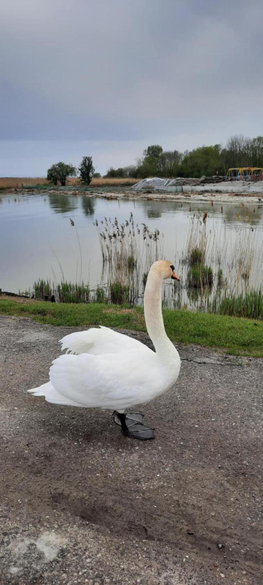 Pokoje Goscinne Nord Krynica Morska Luaran gambar