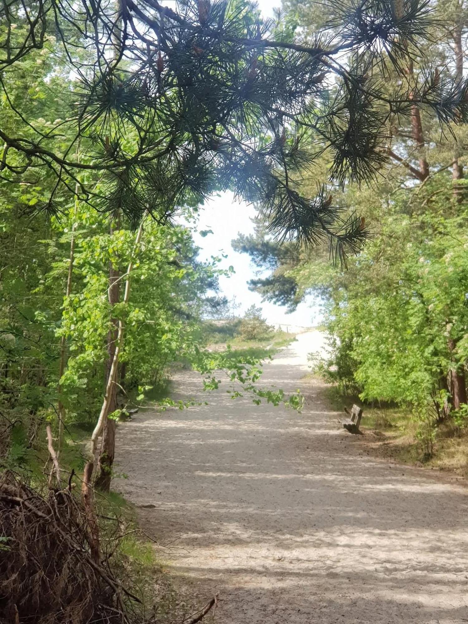 Pokoje Goscinne Nord Krynica Morska Luaran gambar