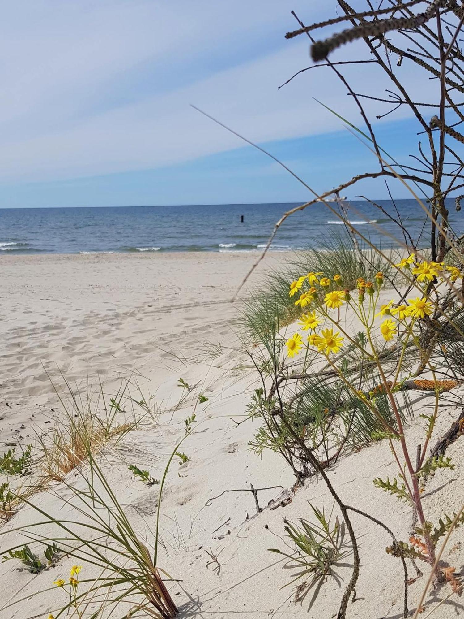 Pokoje Goscinne Nord Krynica Morska Luaran gambar